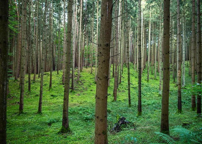 Naturhotel Wittelsbach Hotell 3*